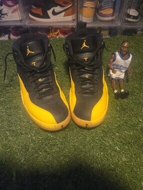 Jordan 12